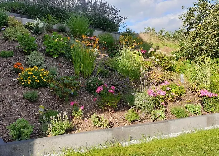 Lillys Garden